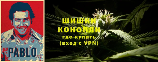 круглые Аркадак