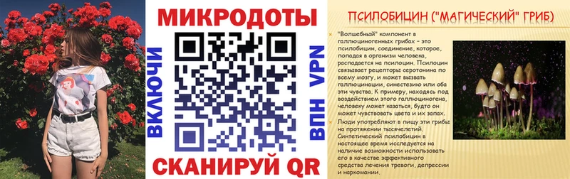 Галлюциногенные грибы Psilocybe  Сатка 